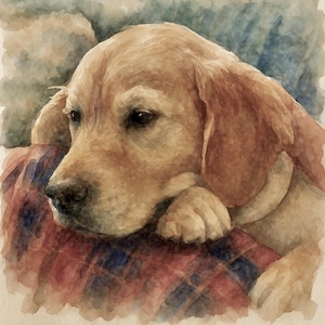 Retrato digital descargable personalizado de 5 x 7 pulgadas • Arte conmemorativo del Puente del Arcoíris • Regalo para la pérdida de una mascota (perro o gato) • Recuerdo de acuarela para mascotas