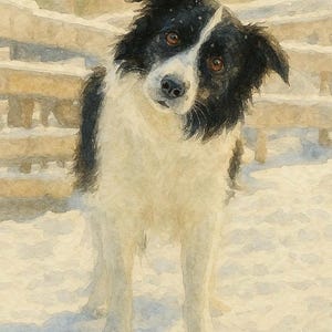 Retrato digital descargable personalizado de 11 x 14 pulgadas • Arte conmemorativo del Puente del Arcoíris • Regalo para la pérdida de una mascota (perro o gato) • Recuerdo de acuarela para mascotas