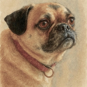Retrato digital descargable personalizado de 8 x 10 pulgadas • Arte conmemorativo del Puente del Arcoíris • Regalo para la pérdida de una mascota (perro o gato) • Recuerdo de acuarela para mascotas