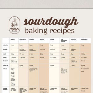 Sourdough recipes collection: bread, donut, pizza, sandwich, bagel and more