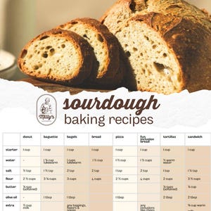 Sourdough recipes collection: bread, donut, pizza, sandwich, bagel and more
