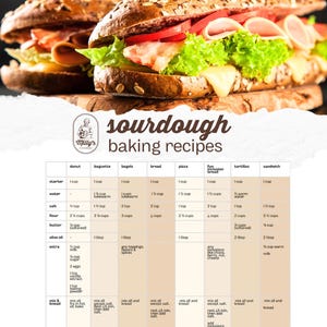 Sourdough recipes collection: bread, donut, pizza, sandwich, bagel and more