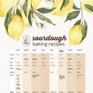 Sourdough recipes collection: bread, donut, pizza, sandwich, bagel and more