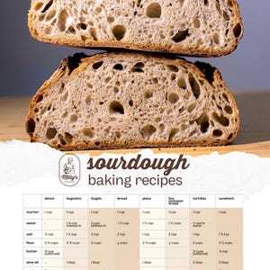 Colección de recetas de masa madre: pan, donuts, pizza, sándwich, bagels y más