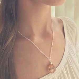 May include: A silver necklace with a clear pendant featuring a dragonfly design. The pendant is a round, flat shape with a silver chain.