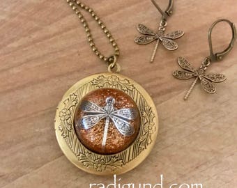 Medaglione di bronzo: libellula in ambra, medaglione con foto, ciondolo in bronzo, medaglione con libellula