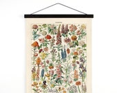 Vintage French Garden Flower Canvas Hanging Chart. Fleurs - Le Petit Larousse by Millot. Educational Chart Diagram - B031CV