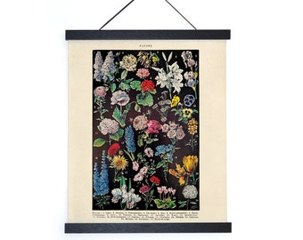 Vintage Botanical Fleurs Garden Flower 2 Print w/ optional frame / High Quality Giclee Print