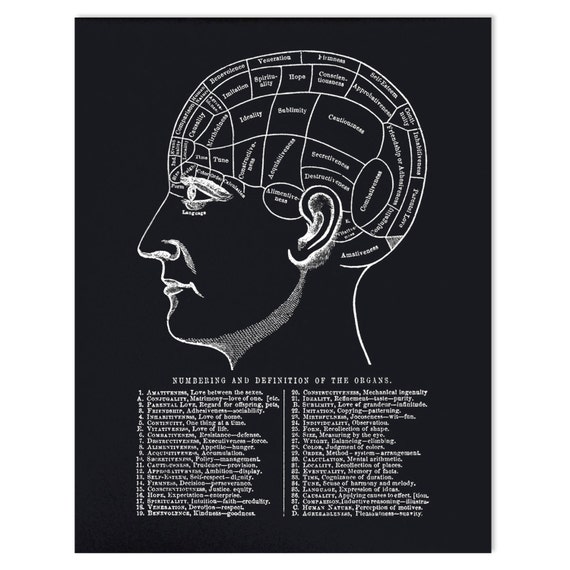 Phrenology Chart Poster