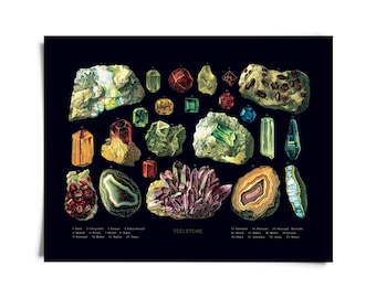 Miscellaneous Prints