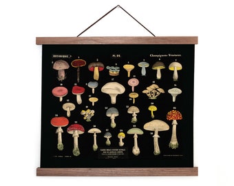 Vintage Botanical Mushroom Black Print 1 / High Quality Giclee Print