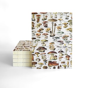 May include: A vintage illustration of various types of mushrooms, with their scientific names and common names listed below each image. The illustration is printed on a white background.