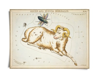 Vintage Aries Zodiac Astrology Sign Print from Urania’s Mirror Star Atlas / High Quality Giclee Print