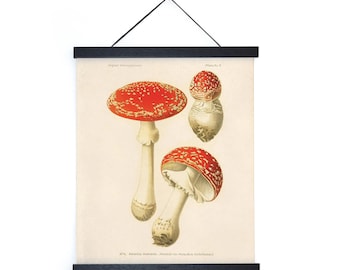 Vintage Botanical Magic Mushroom Print w/ optional frame / High Quality Giclee Print