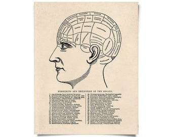 Vintage Anatomy Phrenology Chart Print w/ optional hanging frame / High Quality Giclee Print