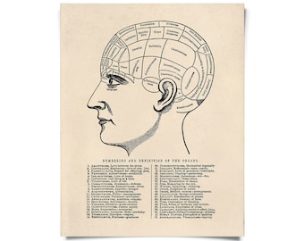 Human Anatomy Prints