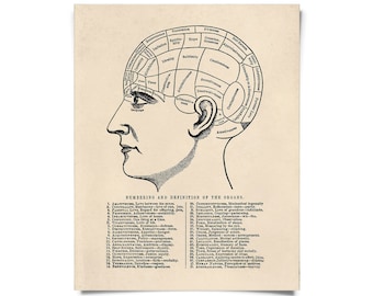 Vintage Anatomy Phrenology Chart Print w/ optional hanging frame / High Quality Giclee Print