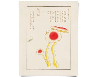 Vintage Japanese Mushroom Print 2 w/ optional frame / High Quality Giclee Print / Honzo zufu