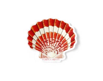 Vintage Tropical Sea Shell Beachy Waterproof Sticker