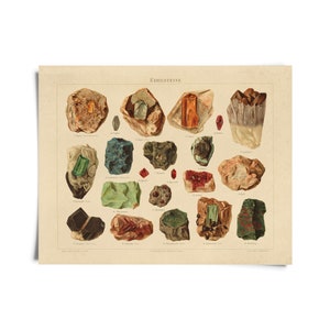Impression de la collection d'insectes du Natural History Museum de Londres