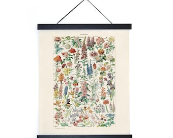 Vintage Botanical Fleurs Garden Flower Print w/ frame option / High Quality Giclee Print