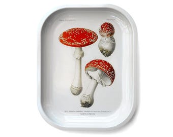 Small Metal Magic Mushroom Catchall Tray / Vintage Print / Ritual Tray Smudging Trinkets