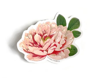 Vintage Botanical Peony Flower Waterproof Sticker