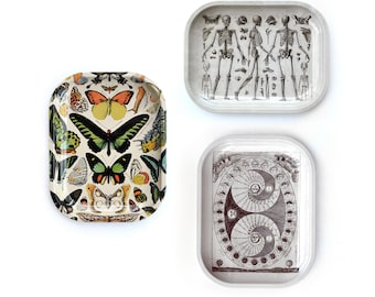 Small Metal Tray / Palmistry Cannabis Cacti Mushroom Crystals snakes flowers butterflies moon skeleton / Decorative Trinket Tray