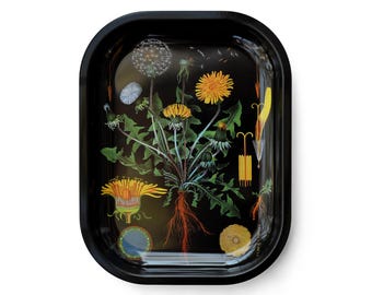 Trays