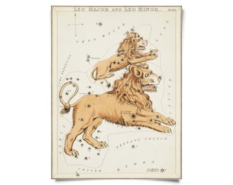 Vintage Leo Zodiac Astrology Sign Print from Urania’s Mirror Star Atlas / High Quality Giclee Print