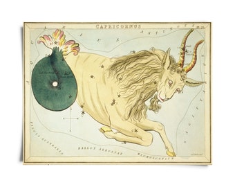 Vintage Capricorn Zodiac Astrology Sign Print from Urania’s Mirror Star Atlas / High Quality Giclee Print