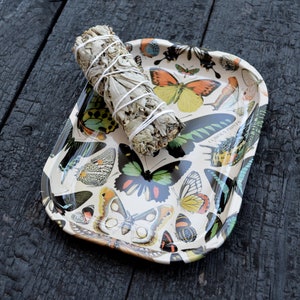 May include: A white metal tray with a butterfly design and the text "Curious Prints". A white sage smudge stick is on top of the tray.