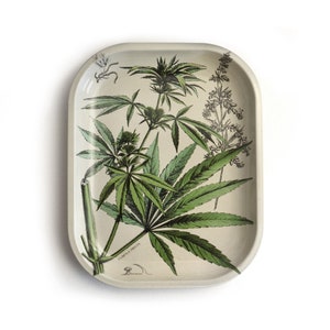 May include: A rectangular white ceramic tray with a green cannabis plant design. The tray features a botanical illustration of a cannabis plant with the text "Cannabis Sativa" printed on the bottom.