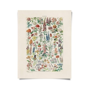 Impresión de flores de jardín botánico vintage con opción de marco / Impresión giclée de alta calidad
