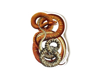 Vintage Snakes 1 Waterproof Sticker