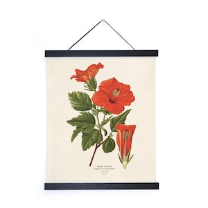Vintage botanische hibiscusbloemenprint met optionele lijst / gicleeprint van hoge kwaliteit