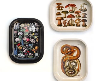 Small Metal Ritual Tray / Palmistry Cannabis Cacti Mushroom Crystals Snakes flowers butterflies moon skeleton / Decorative tray