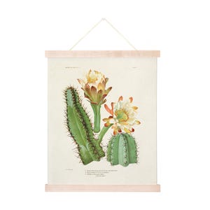 May include: A vintage botanical illustration of a cactus with yellow and orange flowers. The illustration is on a cream-colored background with a wooden frame.