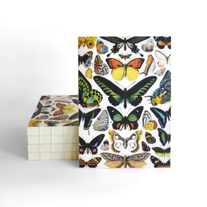 May include: A stack of notebooks with a colorful butterfly design on the cover. The butterflies are in various shades of blue, green, yellow, orange, and red. The cover is white with a black outline around each butterfly.