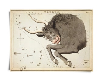 Vintage Taurus Zodiac Astrology Sign Print from Urania’s Mirror Star Atlas / High Quality Giclee Print