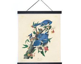 Vintage Audubon Blue Jay Bird Print w/ optional frame / High Quality Giclee Print
