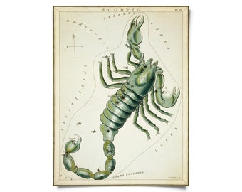 Vintage Scorpio Zodiac Astrology Sign Print from Urania’s Mirror Star Atlas / High Quality Giclee Print