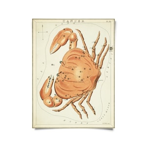 Vintage Cancer Zodiac Astrology Sign Print from Urania’s Mirror Star Atlas / High Quality Giclee Print