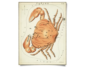 Vintage Cancer Zodiac Astrology Sign Print from Urania’s Mirror Star Atlas