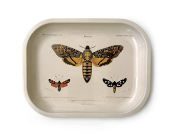 Small Metal Vintage Sphinx Moth Catchall Tray / Ritual Tray Smudging Trinkets