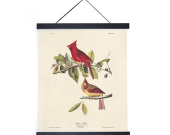 Vintage Audubon Cardinal Bird Print  w/ optional frame / High Quality Giclee Print