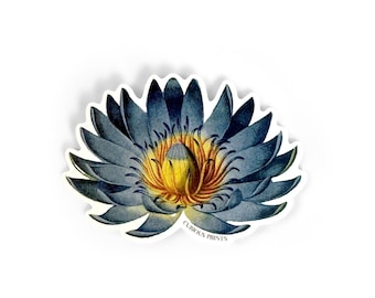Vintage Botanical Blue Lotus Water Lily Waterproof Sticker