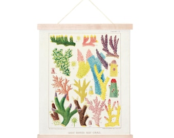 Vintage Tropical Great Barrier Reef Coral Print w/ optional frame/ High Quality Giclee Print
