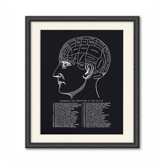 Phrenology Chart Poster