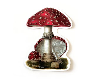 Vintage Magic Mushroom Waterproof Sticker